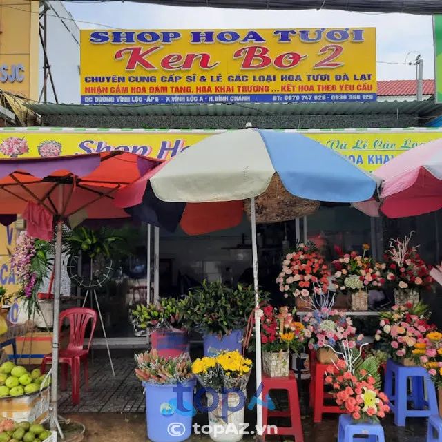 Hoa tươi Kenbo