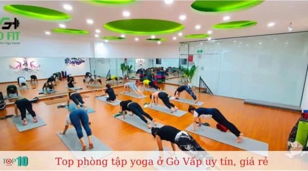 Go Fit - Hành trình chinh phục bản thân