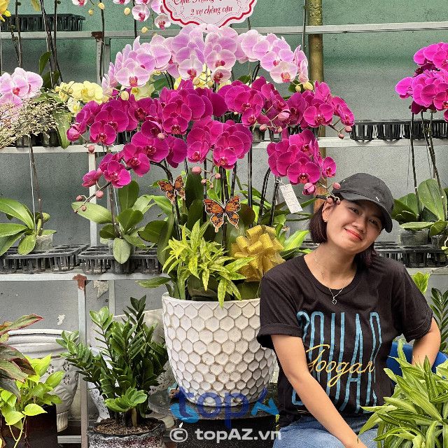 Địa chỉ mua lan hồ điệp tại quận Tân Phú gần đây