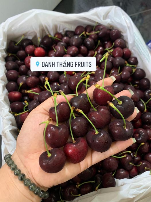 Oanh Thắng Fruits - Không gian trưng bày trái cây tươi ngon