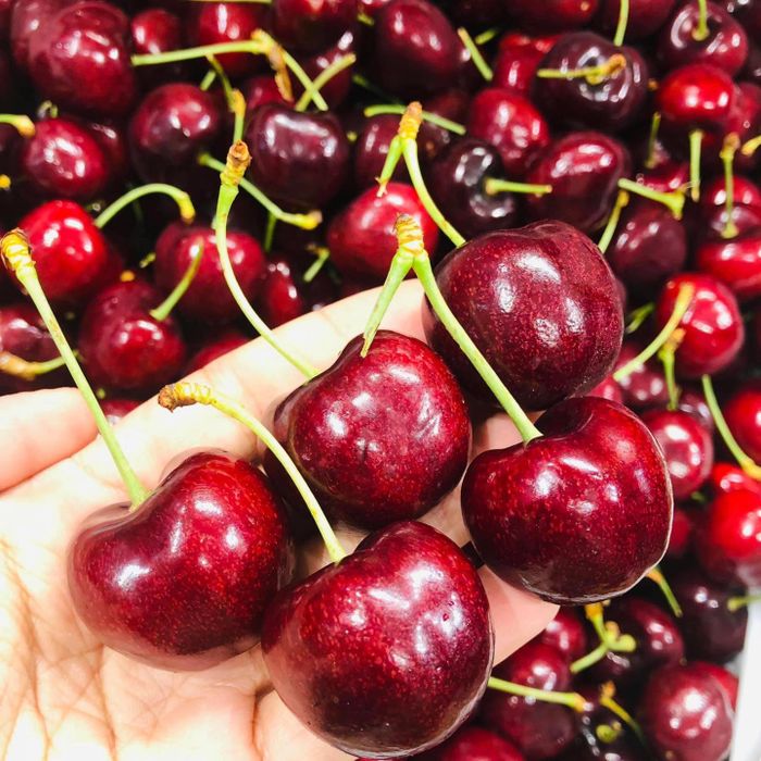 Hà Vinh Fruit - Bộ sưu tập trái cây đặc sản đa dạng