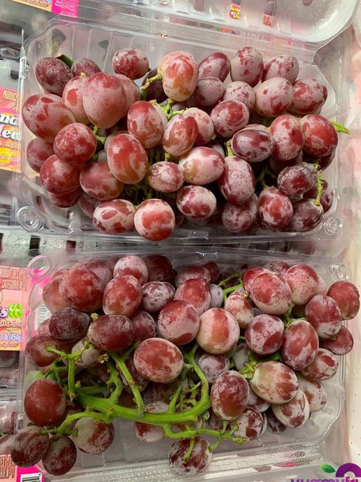 Yummy Fruit - Không gian trưng bày trái cây sang trọng