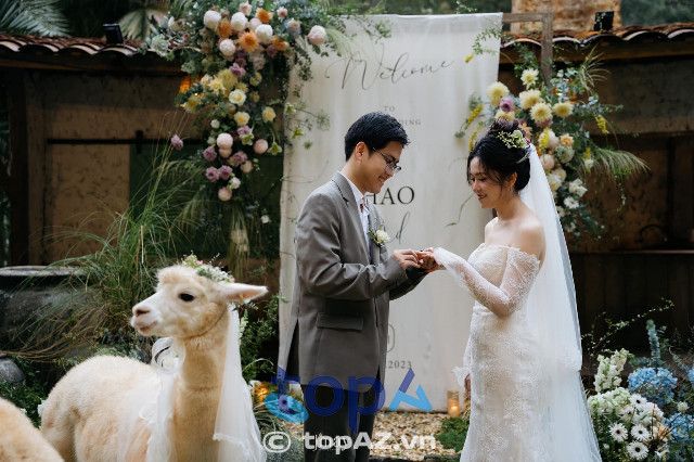 J'may Wedding & Events - Phù thủy không gian cưới Đà Lạt