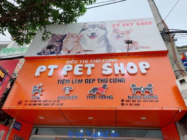 Địa chỉ mua chó Corgi uy tín tại Hà Nội