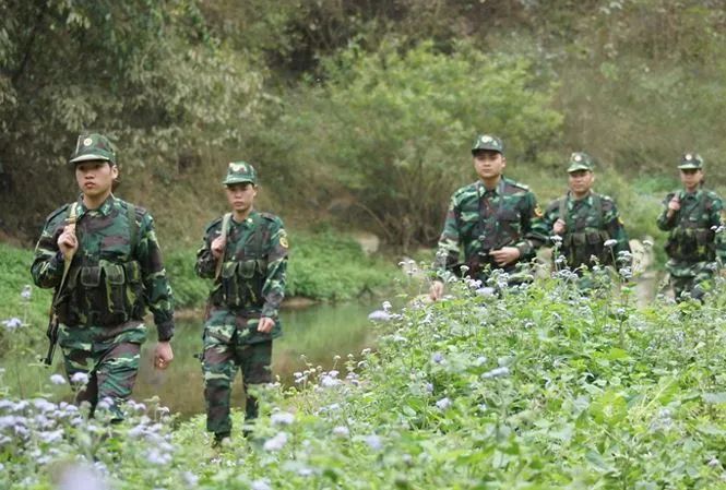 Hình minh hoạ ảnh 1