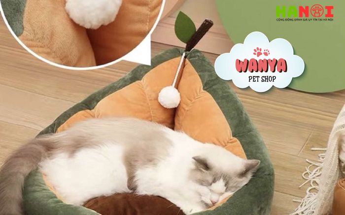 wanya-pet-shop-Tripi-1