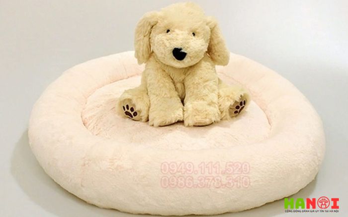 cutepets-cua-hang-thu-cung-Tripi