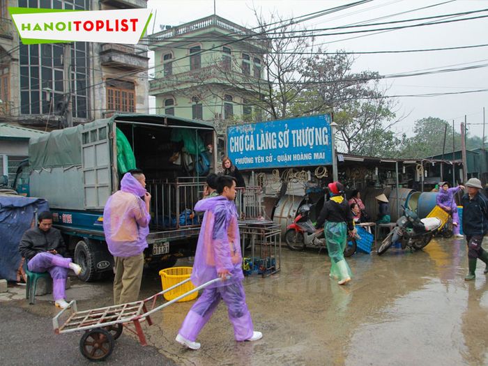 cho-ca-sach-ha-noi-lang-so-thuong-Mytour