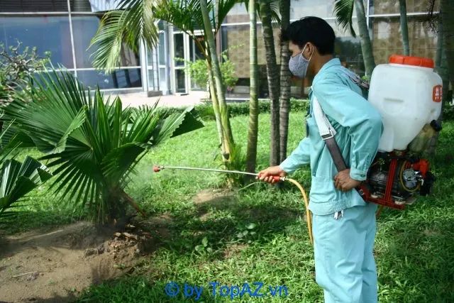 Bảo Toàn Việt - Thương hiệu diệt mối uy tín được cộng đồng tin dùng (ảnh minh họa)
