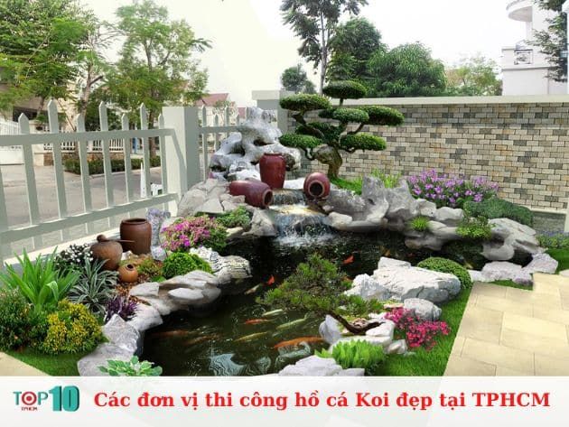 Danh sách các đơn vị thi công hồ cá Koi uy tín và chất lượng nhất TP.HCM