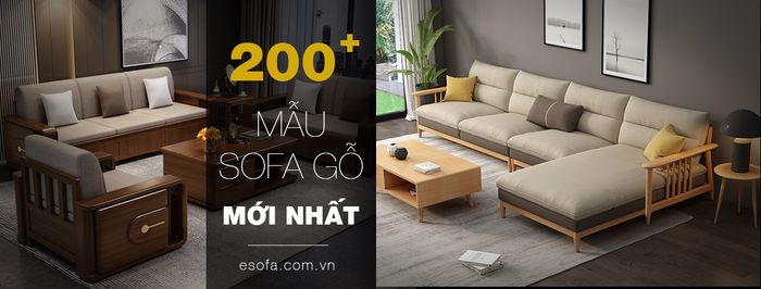 Esofa - Hình ảnh 2