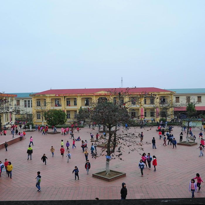 Không gian học tập đầy cảm hứng tại Trường Tiểu Học Ninh Sơn