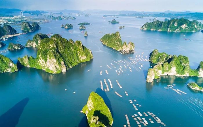 Vịnh Hạ Long ảnh 2 - Hoàng hôn tím biếc phủ lên vịnh, nơi những du thuyền ánh đèn lung linh như những ngôi sao giữa biển nước mênh mông.