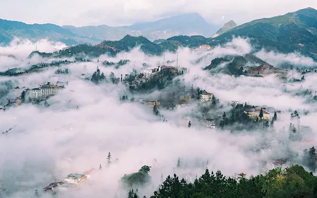 Sa Pa - Ruộng bậc thang vàng dưới nắng mai