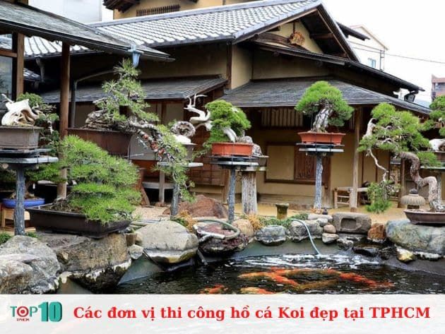 Danh sách những đơn vị thi công hồ cá Koi chuyên nghiệp và uy tín bậc nhất tại TP.HCM