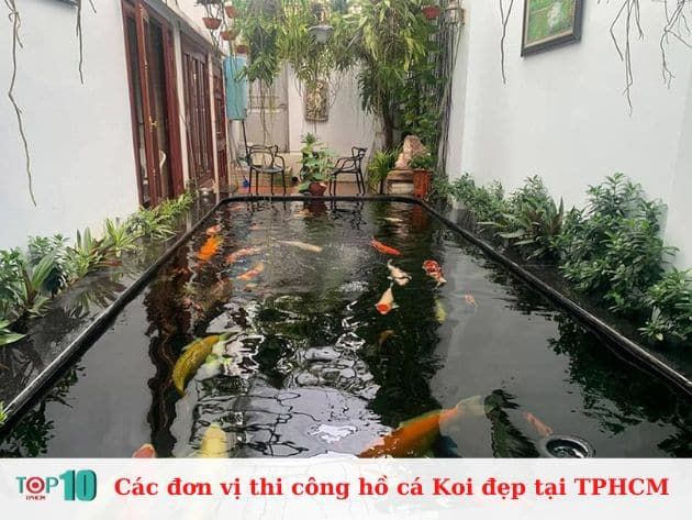 Danh sách đơn vị thi công hồ cá Koi đẹp chuẩn nghệ thuật tại TP.HCM