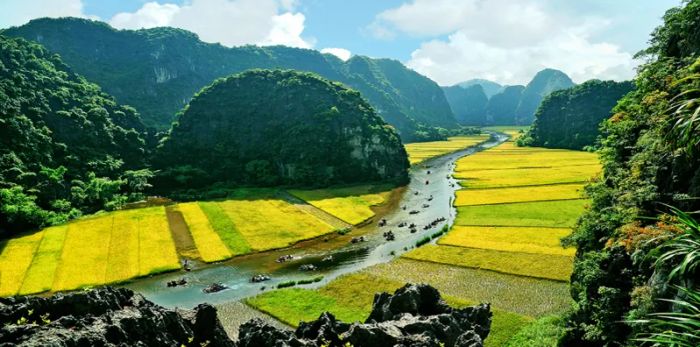 Tràng An - Ninh Bình ảnh 2 - Hoàng hôn vàng rực phủ lên cánh đồng lúa Tam Cốc, tạo nên khung cảnh đồng quê yên bình dưới chân những ngọn núi đá vôi trùng điệp.