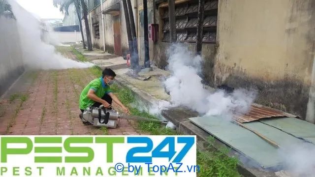 GFC - Sự lựa chọn hàng đầu cho dịch vụ diệt mối chuyên nghiệp tại Quận 3