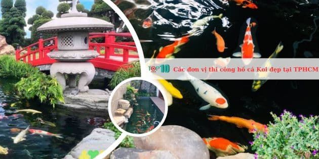 Danh sách các đơn vị thi công hồ cá Koi chuyên nghiệp, chất lượng nhất tại TP.HCM