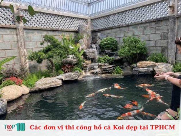 Danh sách các đơn vị thi công hồ cá Koi chuyên nghiệp và uy tín nhất TP.HCM