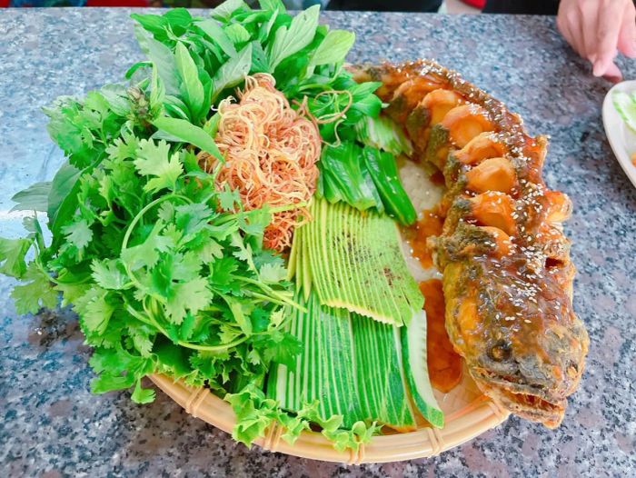 Không gian xanh mát tại BeeZone Coffee - Royaltea