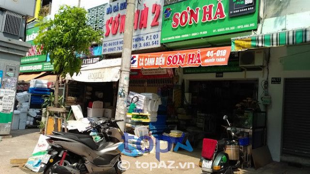 Khám phá những cửa hàng cá cảnh chất lượng nhất tại TP.HCM
