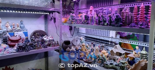 Địa chỉ vàng cho những ai tìm kiếm cá cảnh chất lượng tại TP.HCM