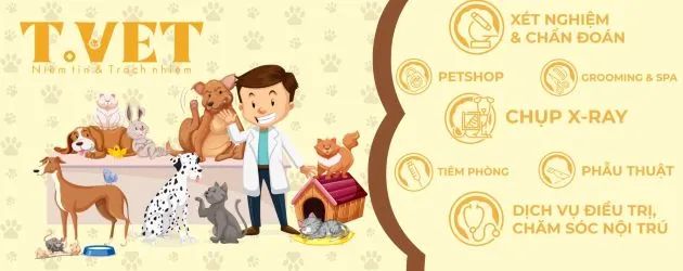 Phòng khám Thú y T Vet