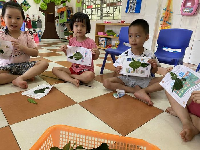 Không gian học tập hiện đại tại Mầm non Sao Mai