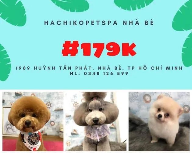 Hachiko Pet Spa - Nơi gửi trọn niềm tin