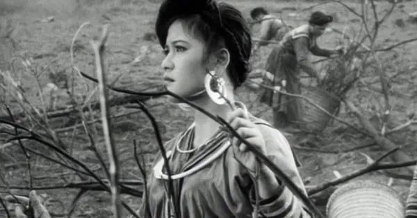 Hình ảnh minh họa 1 - Khoảnh khắc đầy xúc động