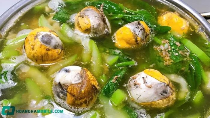 huong-dan-nau-lau-trung-vit-lon-10