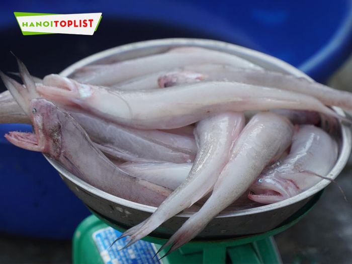 yfc-food-dia-chi-mua-ca-khoai-o-ha-noi-gia-tot-Tripi