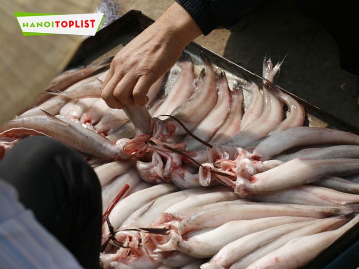 Hải sản tươi sạch Lan Trần Tiền Hải – Địa chỉ tin cậy cho những sản phẩm hải sản tươi ngon