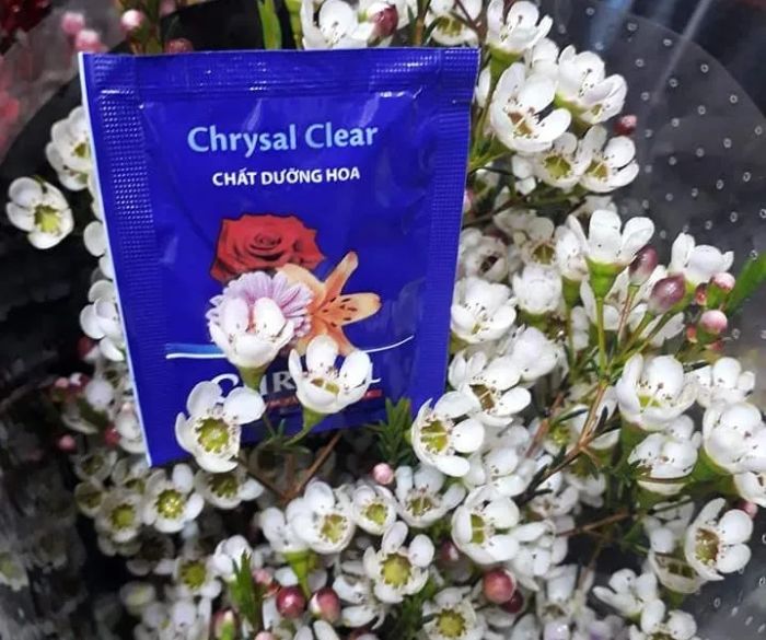 Hình ảnh thực tế dưỡng chất Chrysal phiên bản 1
