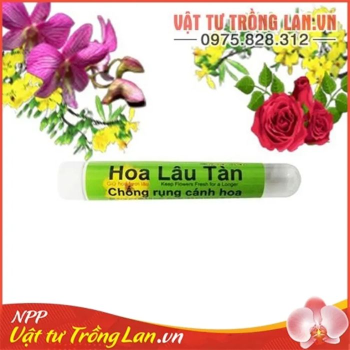 Hình ảnh thực tế thuốc dưỡng hoa Hoa Mai - Bí quyết giữ hoa tươi lâu