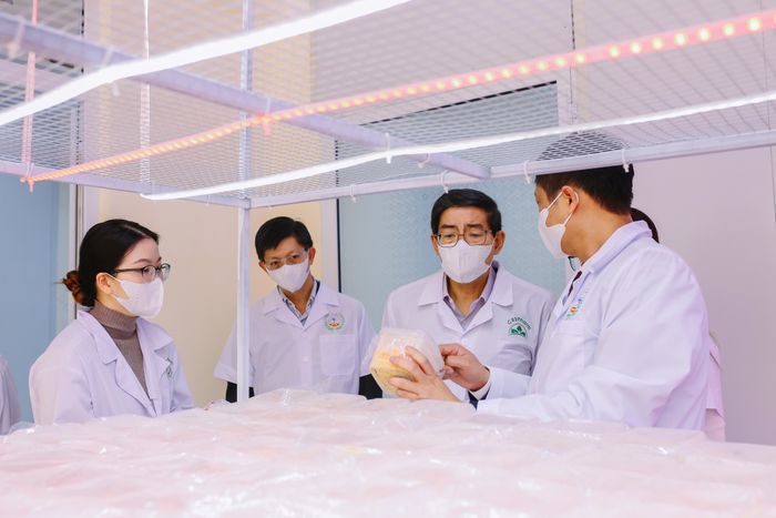 Góc sinh hoạt ngoại khóa của sinh viên Cao Đẳng Dược Trung Ương Hải Dương