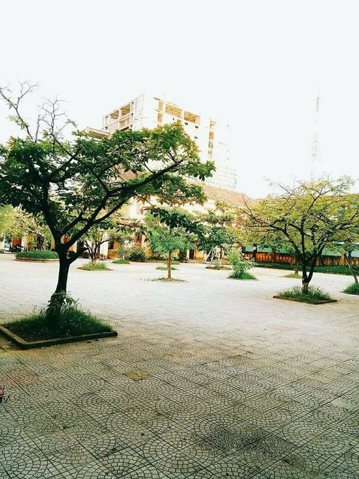 Hình ảnh đẹp về THPT Nguyễn Trường Tộ
