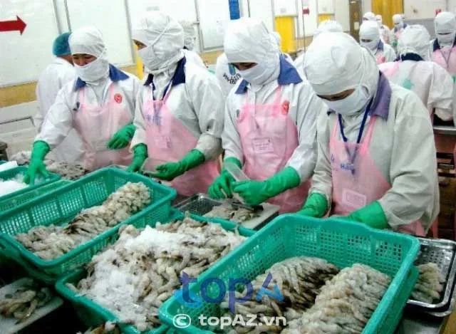 Công Ty TNHH Cung Ứng Nhân Lực SEKAI