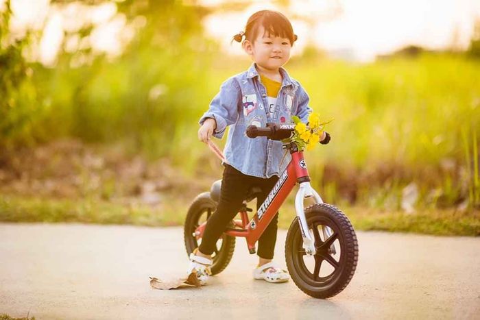 Xe thăng bằng Starider hình ảnh 1