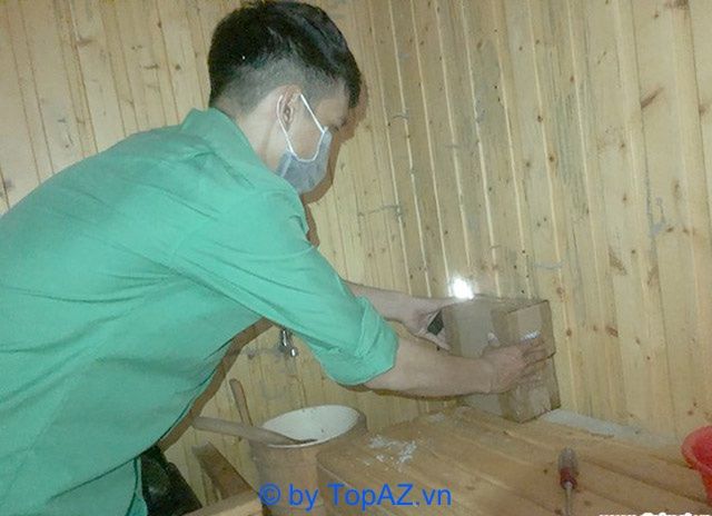 Dịch vụ diệt mối Bình Dương chất lượng cao - Giá thành hợp lý