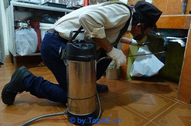 Dịch vụ diệt mối chuyên nghiệp tại Bình Dương
