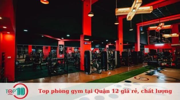 Iron Fitness and Gym - Đẳng cấp phong cách sống khỏe