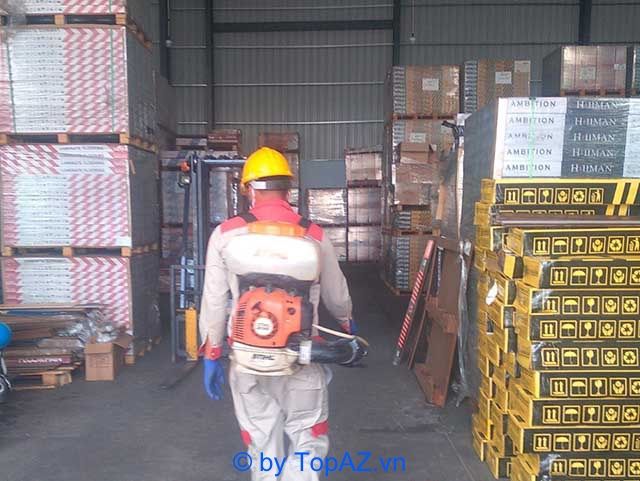 Giải pháp diệt mối chuyên nghiệp tại Bình Dương