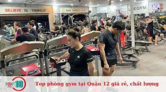 Life Gym Fitness - Nâng tầm thể chất