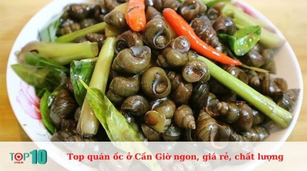 Ốc Duyên Linh - Tinh hoa ẩm thực biển