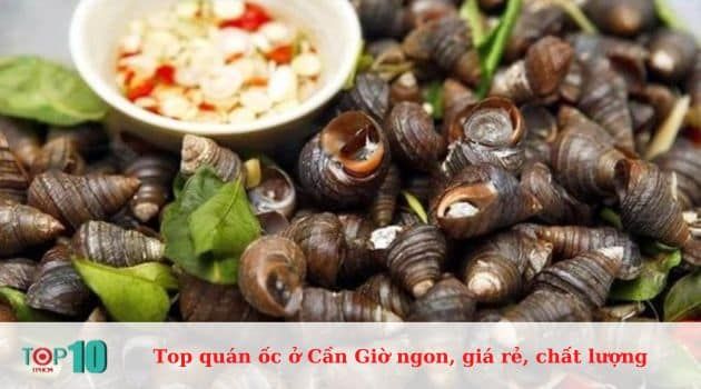 Ốc Xích Lại - Hương vị biển cả bình dị