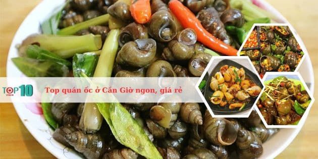 Gợi ý những quán ốc Cần Giờ nức tiếng - Ngon bổ rẻ khó quên