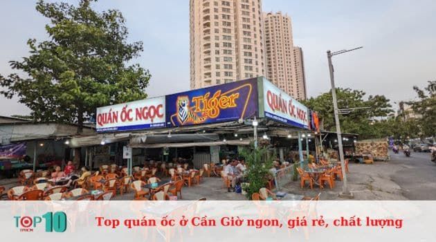 Ốc Ngọc - Hương vị biển cả thuần khiết