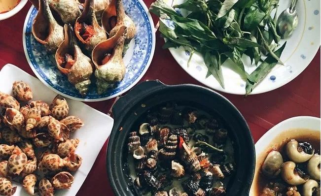 Ốc Đảo - Thiên đường ốc đa dạng giữa lòng Sài thành